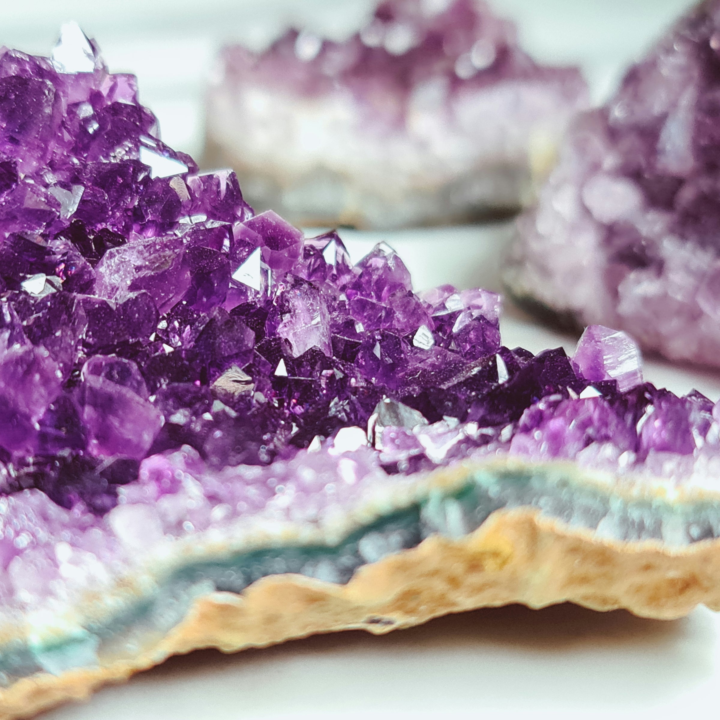 Fossils & Minerals