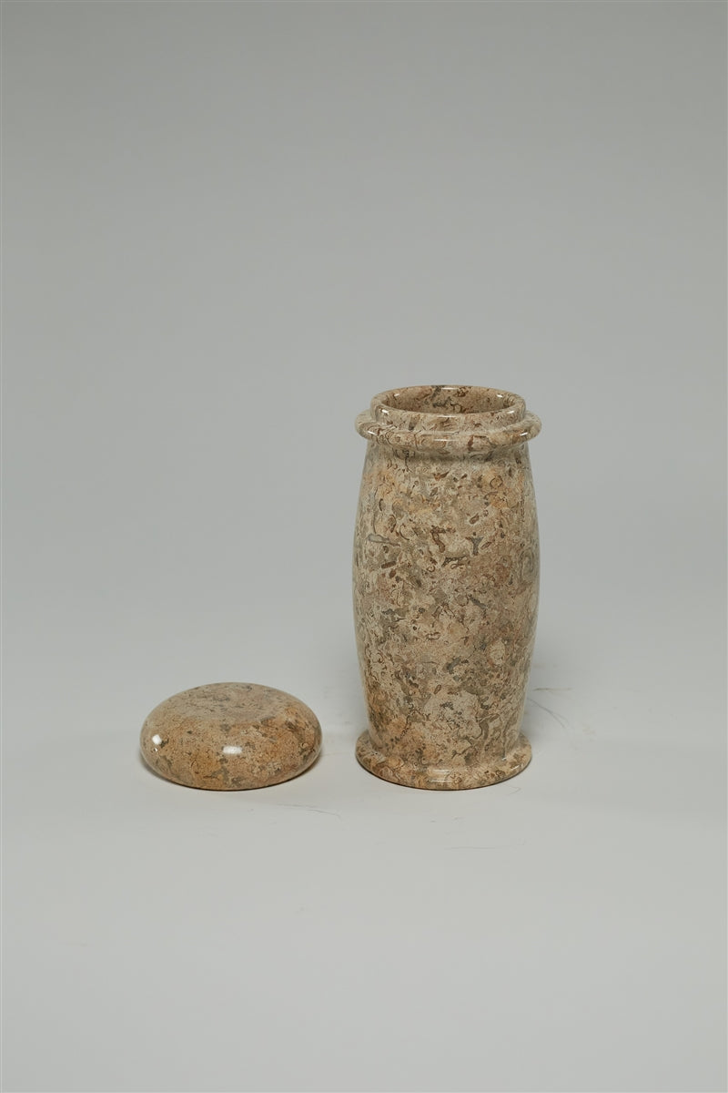 Fossil Coral Jar