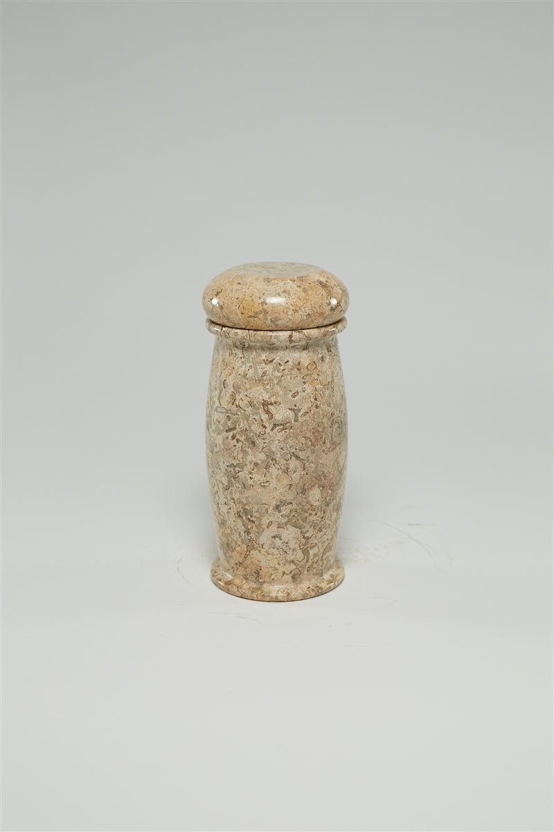 Fossil Coral Jar