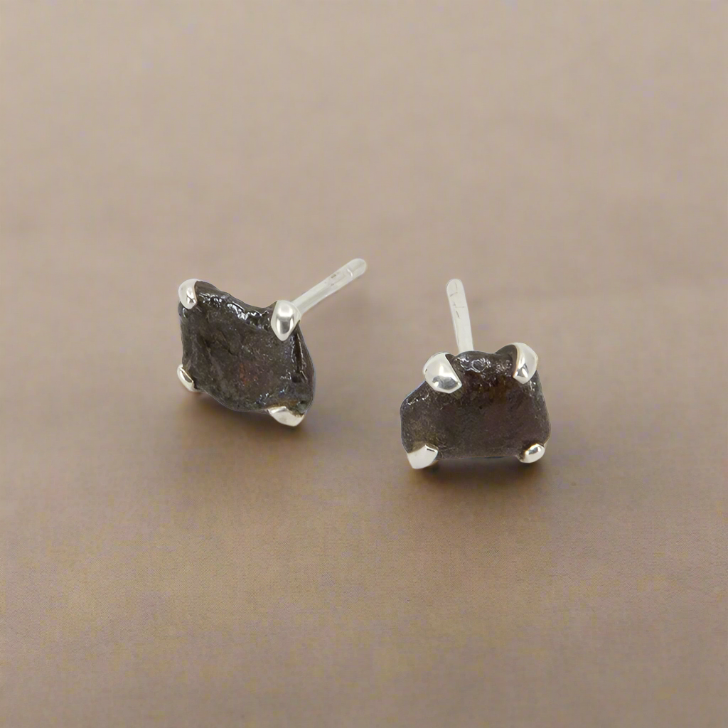 Meteorite Silver Post Earrings