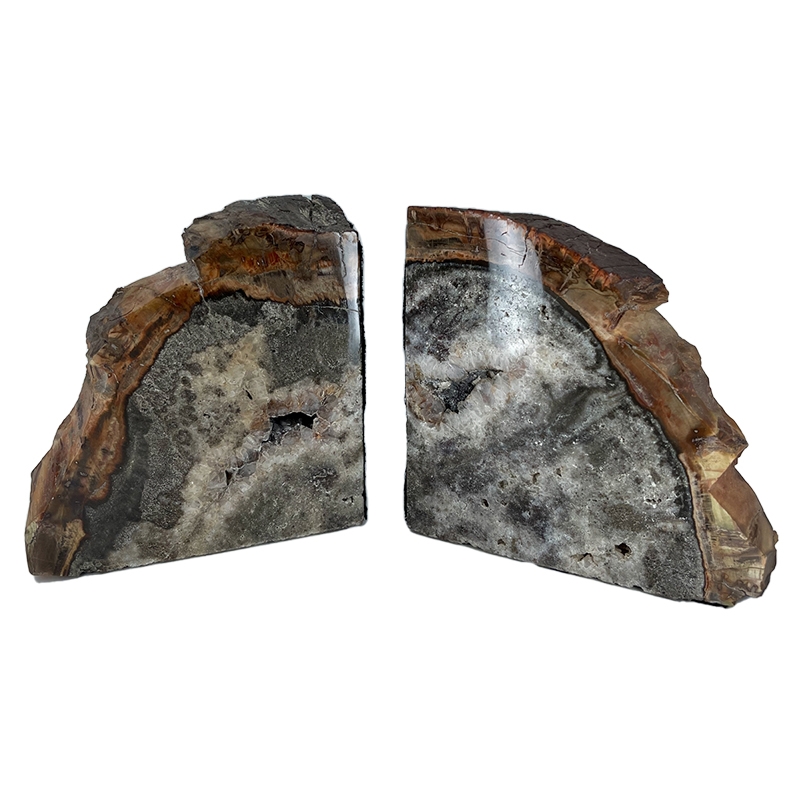  Petrified Wood Bookends : Home & Kitchen